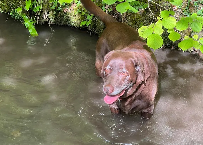 Kabin In The Woods